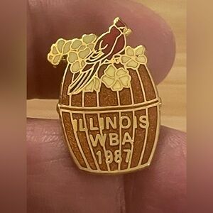 Vintage Illinois WBA 1987 Pin